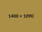 1400x1090_placeholder